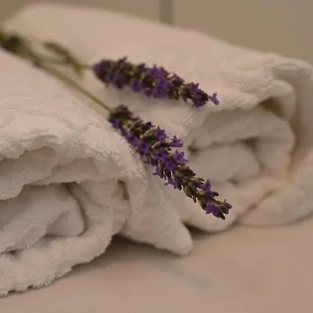 Gæstehus House Of Mile Zadar