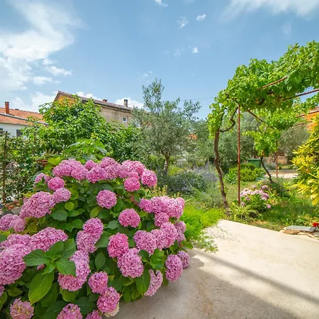 Gæstehus House Of Mile 4*